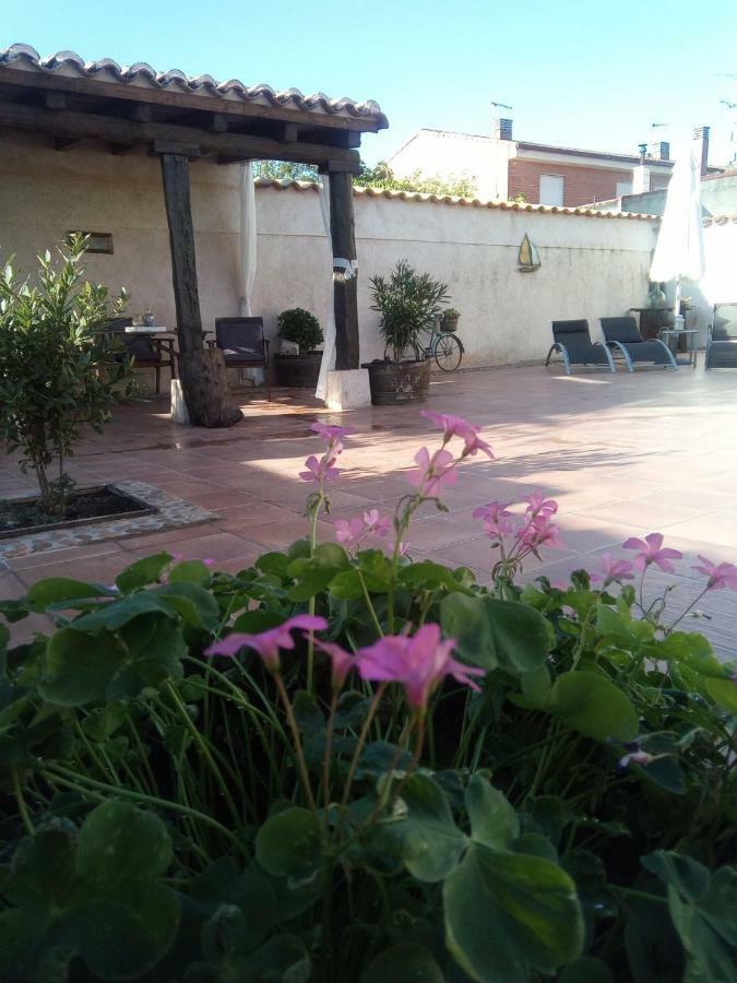 Pinar De Las Cabañuelas Villanueva de Duero Exterior foto